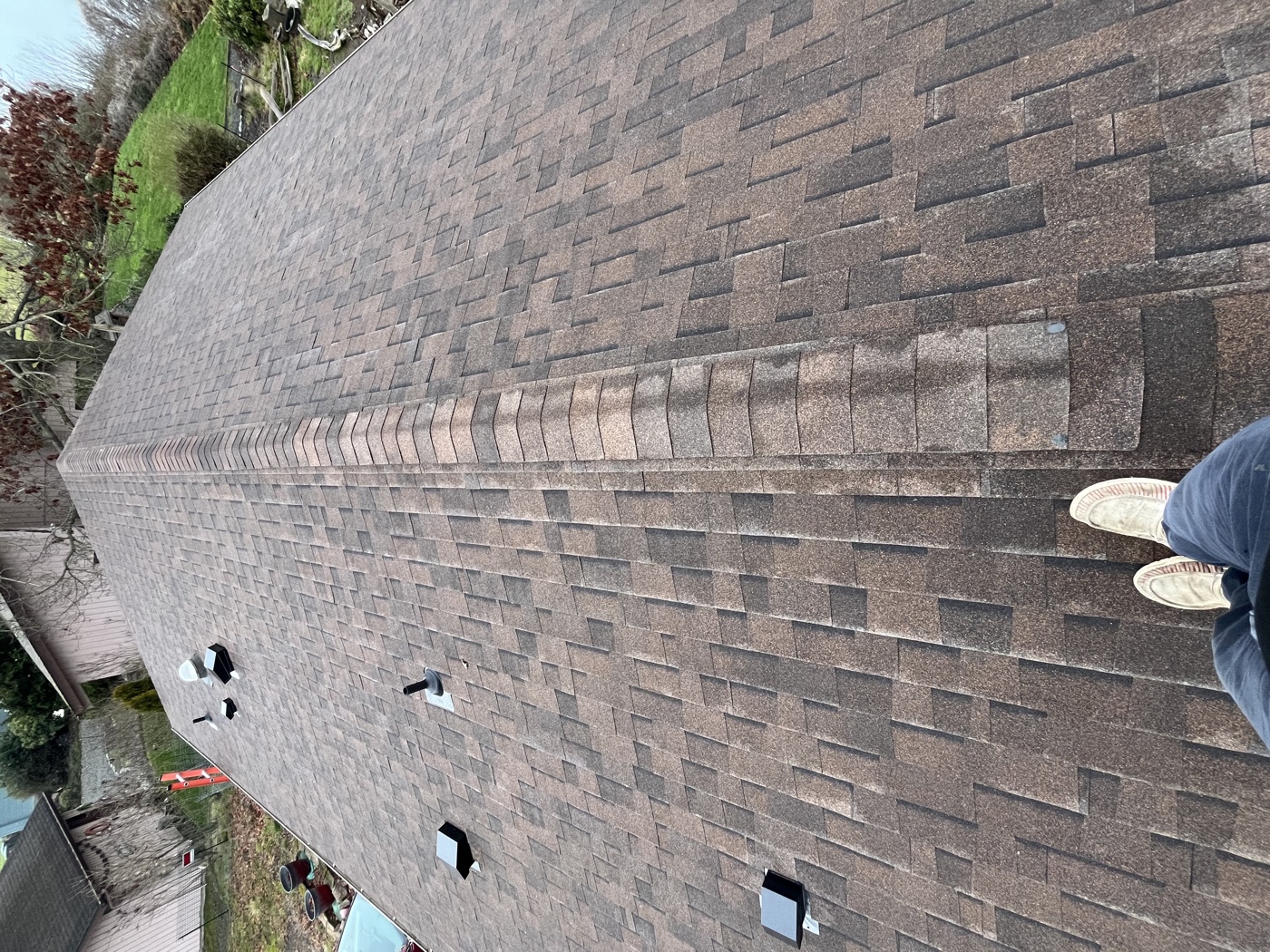 Completed roof — ground view